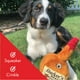 thumbnail image 4 of Huxley & Kent Divertido juguete para perros con chirriador – Juguetes de peluche para perros pequeños, medianos y grandes – Animal de peluche suave para jugar y buscar en interiores – Barker's Mark gr, 4 of 5