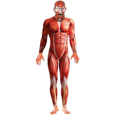 Anatomy Man Adult Halloween Costume