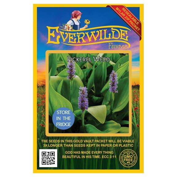 Everwilde Farms - 10 Pickerel Weed Native Wildflower Seeds - Gold Vault Jumbo Bulk Seed Packet