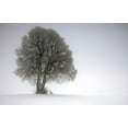 thumbnail image 2 of Irmawarth 14x10 White Modern Wood Framed Museum Art Print Titled - Winter Tree, 2 of 4