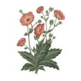 thumbnail image 2 of Wild Apple Portfolio 15x15 Gold Ornate Wood Framed with Double Matting Museum Art Print Titled - Monument Etching Tile Flowers V, 2 of 4