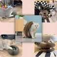 thumbnail image 5 of Cat Toy, Magic Organ Cat Scratch Board, Compact Cats Accordion Toy, Interactive Cardboard Cat Scratcher Pad Toys with Bell Ball for Indoor Exercise, 5 of 10