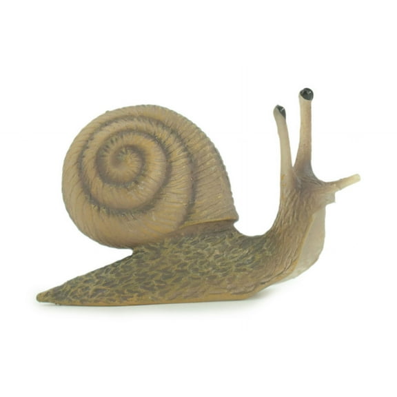 Garden Snail, Scaly-foot Gastropod, Museum Quality, Hand Painted, Brown Snail, Rubber mollusk, Realistic, Toy, Kids, Educational, Gift, 3 Inches. CH868 BB199