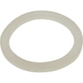 thumbnail image 2 of Waterway Plastics WW7114750 0.18 in. Gasket Poly Jet Body, 2 of 2