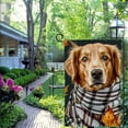 thumbnail image 4 of PHYHOO Welcome Fall Garden Flag Double Sided, Burlap Small Black Cat Golden Retriever Dog Garden Yard Flags Thanksgiving Outside Outdoor House Decoration White, 4 of 6