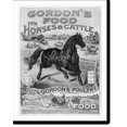 thumbnail image 2 of Historic Framed Print, Gordon's food for horses & cattle, 17-7/8" x 21-7/8", 2 of 9