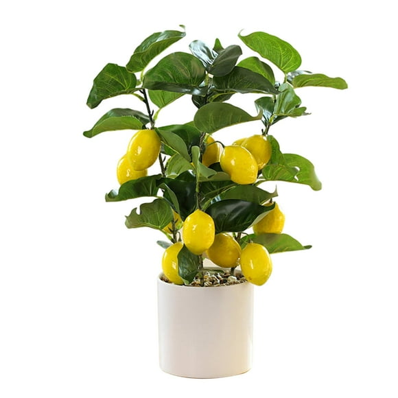 Small Fake Lemon Tree for Lemon Decor Artificial Lemon Tree with White Pot Potted Plant Perfect for Kitchen Home Indoor