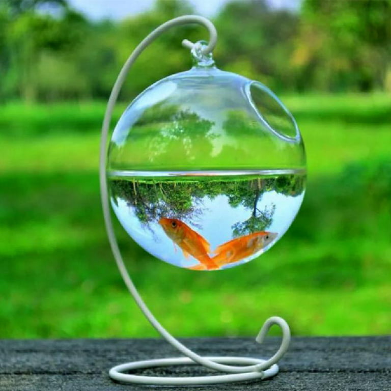 ZOYONE Small Glass Betta Fish Bowl Fish Vase Aquarium for Home