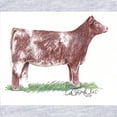thumbnail image 2 of CafePress - Shorthorn Heifer Infant Bodysuit - Cute Infant Bodysuit Baby Romper - Size Newborn - 24 Months, 2 of 3