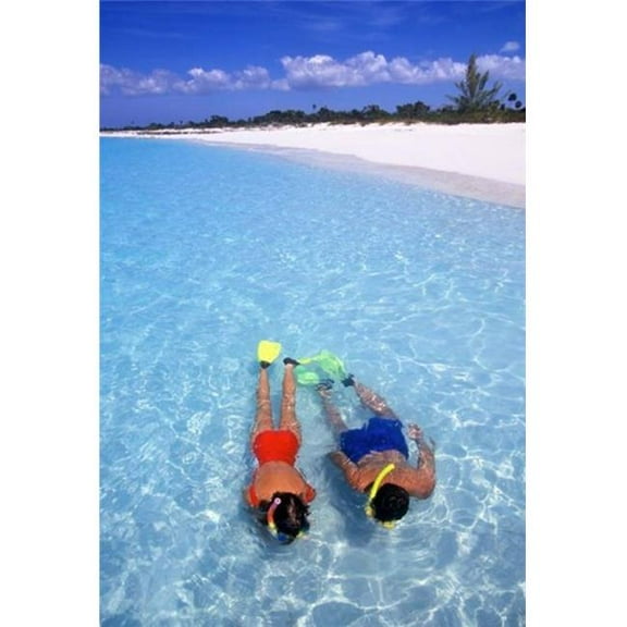 Snorkeling in the blue waters of the Bahamas Poster Print by Greg Johnston (12 x 17)