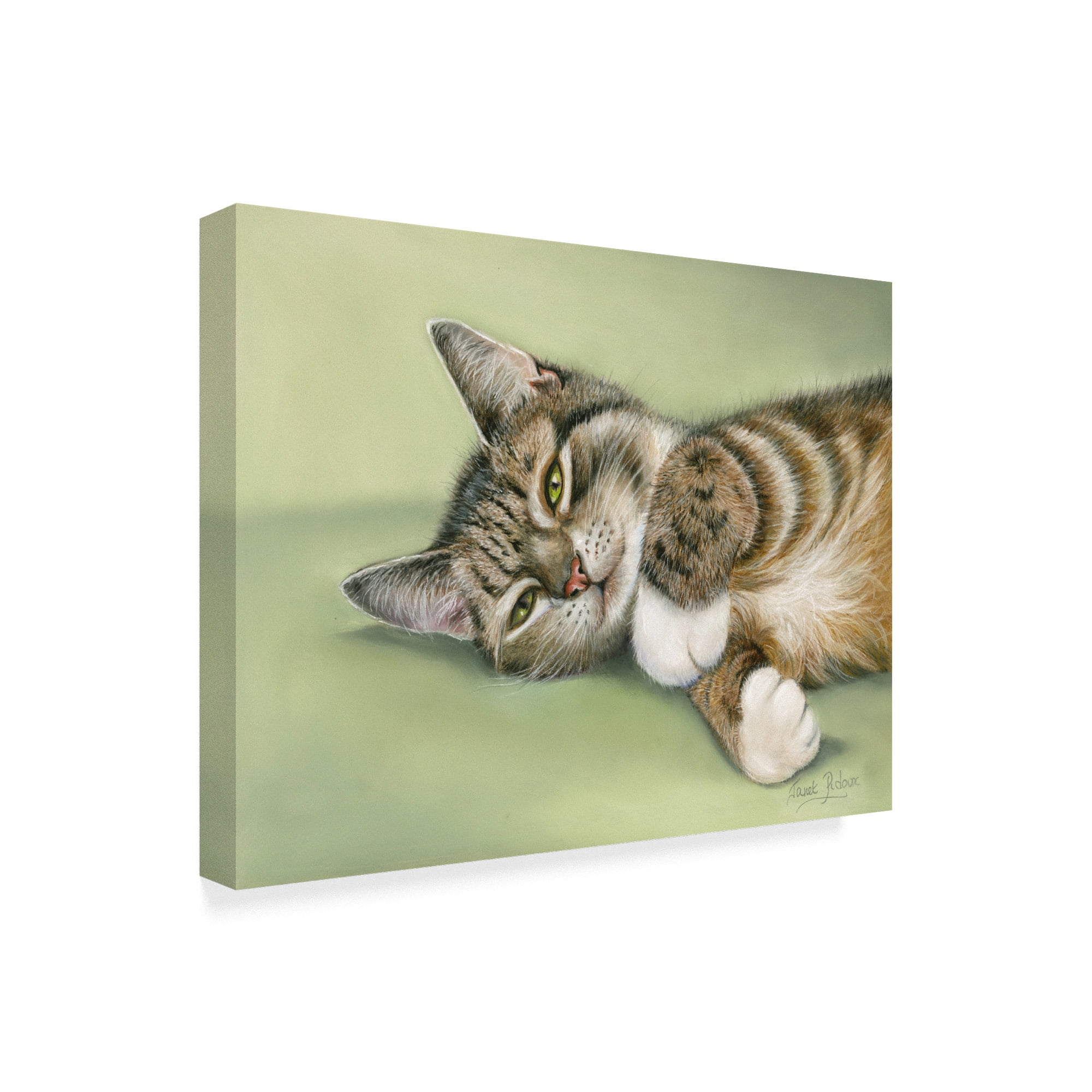 Trademark Fine Art 'Green Eyes' Canvas Art by Janet Pidoux