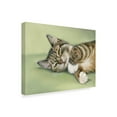 thumbnail image 2 of Trademark Fine Art 'Green Eyes' Canvas Art by Janet Pidoux, 2 of 3