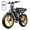 R9-Yellow-2*15AH, variant on TST Electric Bike for Adults, 750W Peak 1500W Motor, 20"x4" Fat Tire E Bicycle, E Mountain Bike, 48V/15AH UL2849, App Control