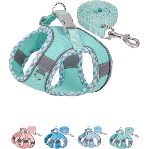 Dog Harness for Small Medium Dogs No Pull, Puppy Harness and Leash Set, Step in Dog Harness for Walking, Running, Training, Small Dog Vest