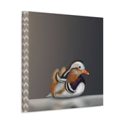 Mandarin Duck Reflection - Canvas