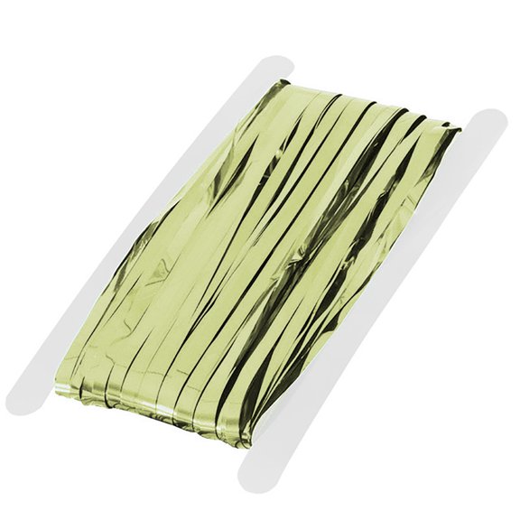 BNNG Silver Metallic Tinsel Foil Fringe Curtains,1x2m Party Streamer Curtains for Birthday Party Decorations, Halloween Decor, Foil Curtain Backdrop for Party Curtains Metal Shimmer Curtain