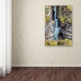thumbnail image 3 of Trademark Fine Art 'Maligne Canyon' Canvas Art by Pierre Leclerc, 3 of 3