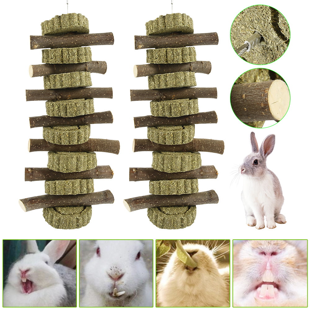 Apple Wood Stick Twig Coins Organic Chew for Small Pet Chinchilla Rabbit Hamster 