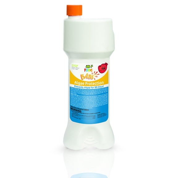 FROG BAM 90-Day Algae Preventative - Pool Winterizer Chemical and Algaecide Treatment for Preventing & Removing Algae - Compatible with all FROG Pool Products