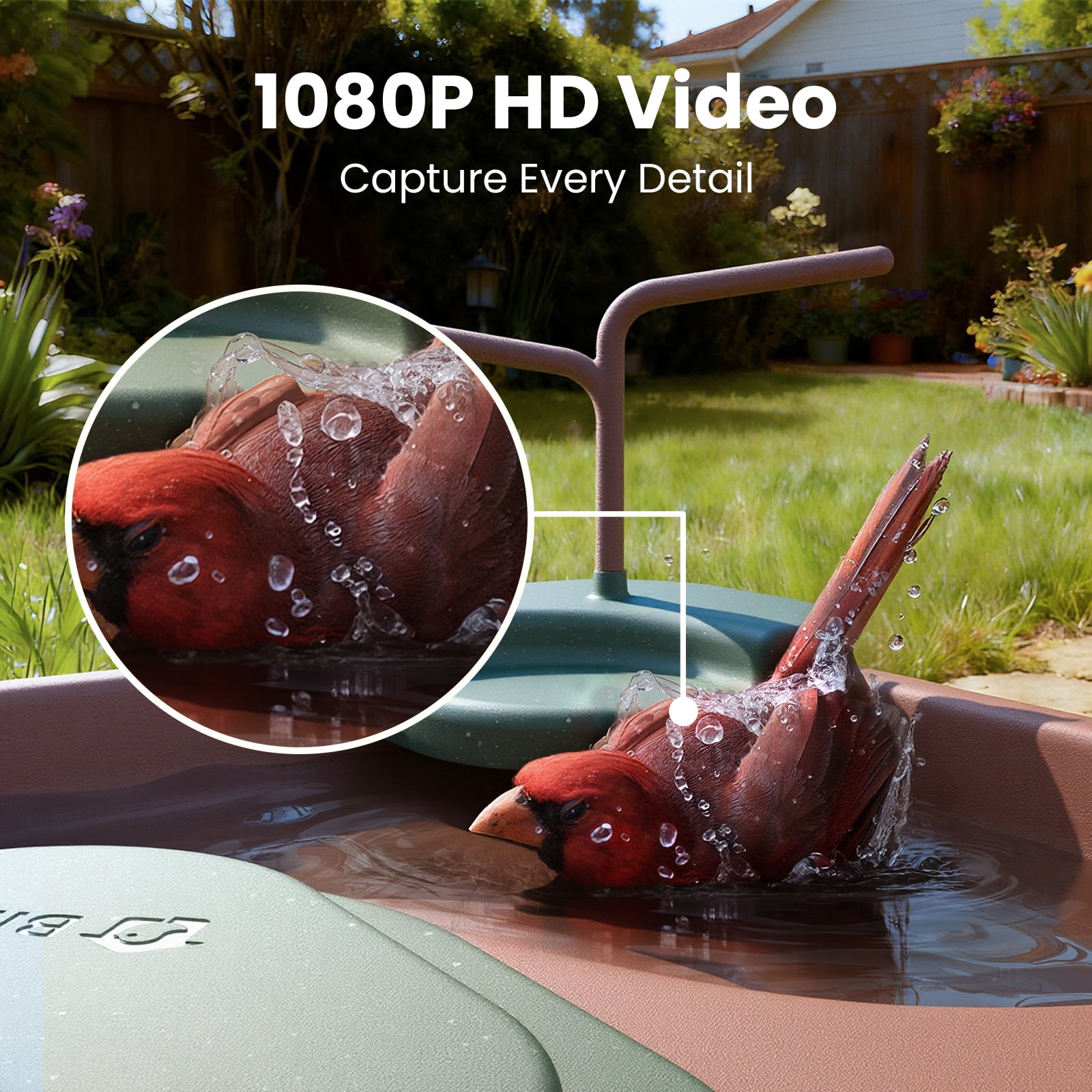 Birdfy Smart Bird Bath with Camera Solar Powered, AI Identify, Live View, Instant Notify, Ideal Gift for Bird Lovers