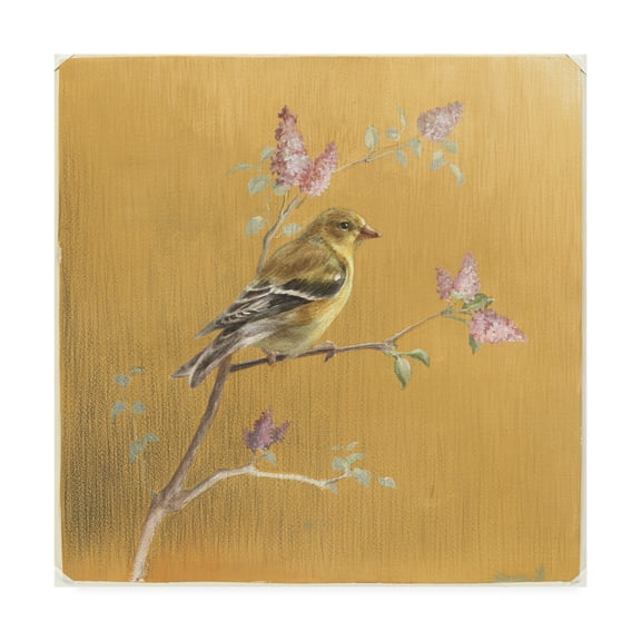 Trademark Fine Art 'Female Goldfinch on Gold' Canvas Art by Danhui Nai