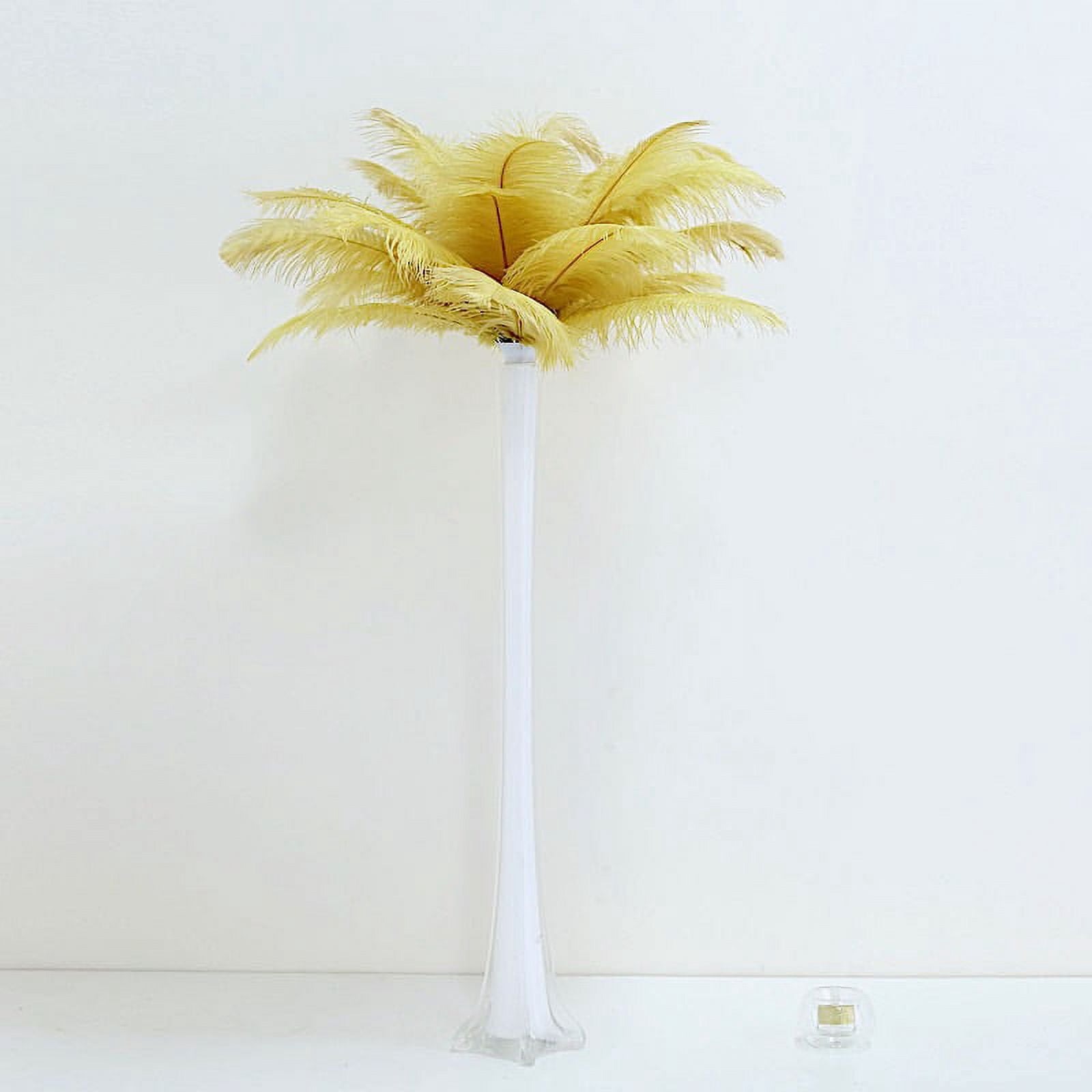 Balsa Circle 12 Pieces 13"-15" Gold Authentic Ostrich Feathers Centerpieces