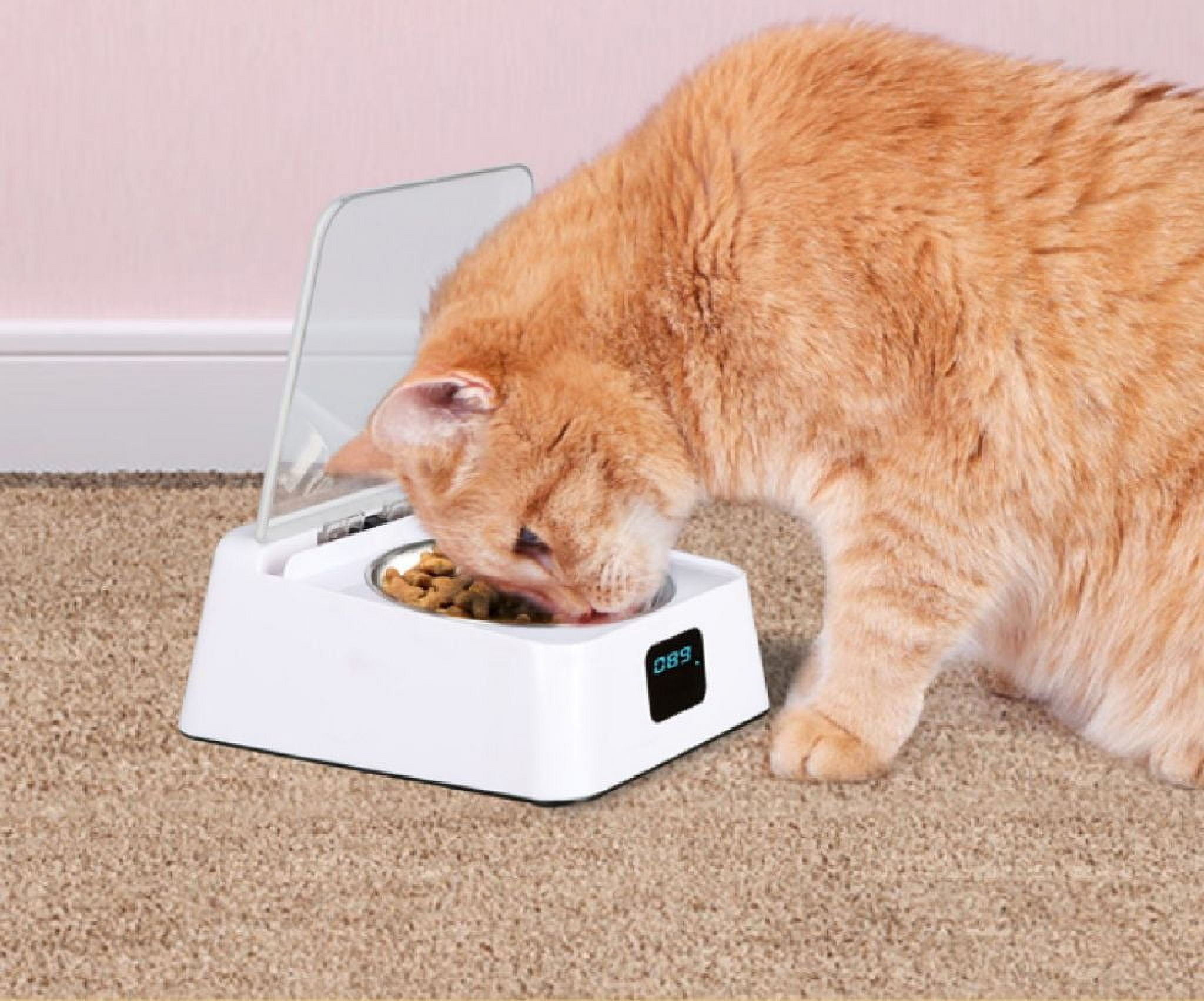 Infrared Sensor Automatic Cat Feeder For Cats And Dogs, With App Control, Non-Slip Elevated Design, Long Battery Life, Indicator For Battery Status, Moisture Protection