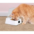 thumbnail image 2 of Infrared Sensor Automatic Cat Feeder For Cats And Dogs, With App Control, Non-Slip Elevated Design, Long Battery Life, Indicator For Battery Status, Moisture Protection, 2 of 8