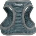 thumbnail image 1 of GFDYREE Step in Dog Harness for Small Dogs No Pull, Small, Titanium - Adjustable Harness with Padded Mesh Fabric and Reflective Trim - Buckle Strap Harness for Dogs, 1 of 7