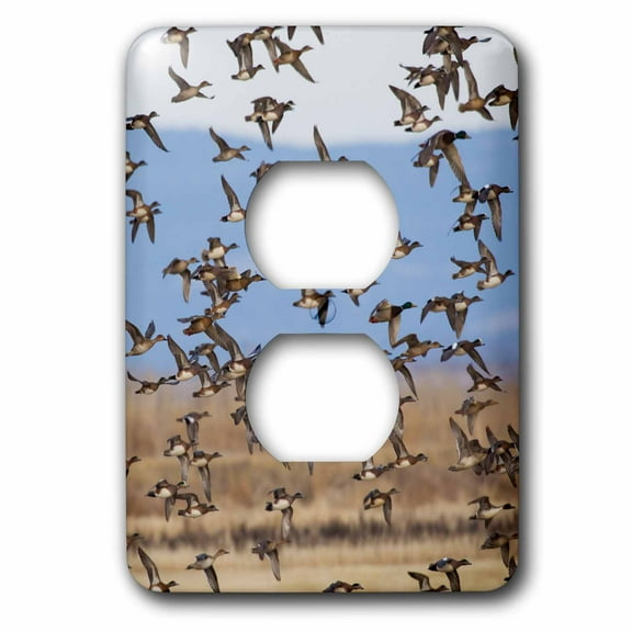 3dRose, Large Flock of Ducks, 2 plug outlet cover