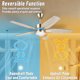 thumbnail image 3 of Vagizm Ventilador de Techo de 42 Pulgadas con Luz - Ventilador de Techo Moderno de 5 Aspas para Sala de Estar y Recámara - Motor CC Silencioso - 3 Cct - 6 Velocidades - Regulable - Función Reversible - Tono Madera Clara, 3 of 8