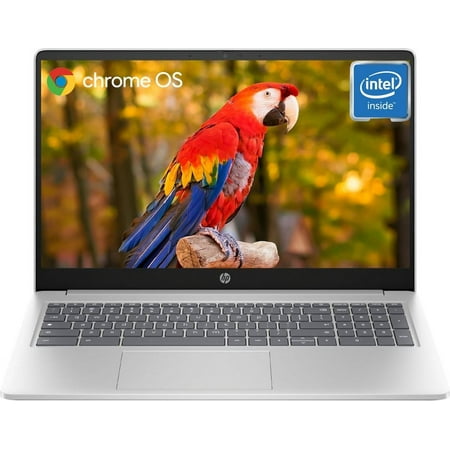 HP Chromebook, 15.6" HD Laptop for Students and Business, Intel Quad-Core Processor, 8GB RAM, 64GB eMMc + 256GB SD Card, Wi-Fi, Bluetooth, Webcam, Numeric Keyboard, Chrome OS, Silver