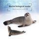 thumbnail image 5 of Adorno de juguete de animales marinos, modelos de acción de criaturas marinas para niños y niñas (focas) Sywqhk libre de BPA, 5 of 7