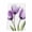 Purple, variant on Purple Tulip Kitchen Towels Set of 1, Aesthetic Pastoral Flower Floral Spring Absorbent Dish Towels for Kitchen, Microfiber Hand Towel, Quick Drying Tea Towel for Cleaning Decorative Dishcloths