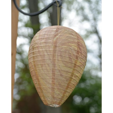 Wasp Deterrent Hive - 2 pack (Best Way To Catch Wasps)