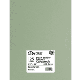 Paper Accents Cdstk Smooth 8.5x11 80lb Black Bulk