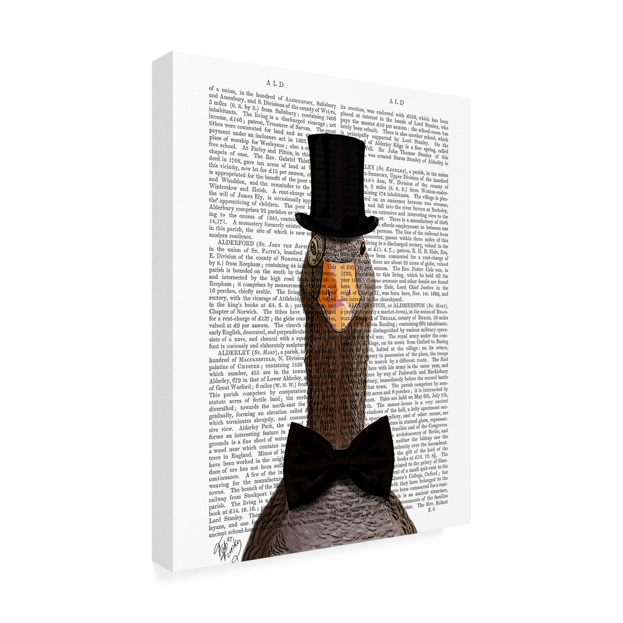 Trademark Fine Art 'Distinguished Goose' Canvas Art by Fab Funky