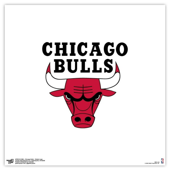 Gallery Pops NBA Chicago Bulls - Global Logo Wall Art, Unframed Version, 12" x 12"