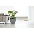 thumbnail image 3 of Ecopots Rotterdam Durable Modern Square Indoor/Outdoor Recycled Based Composite Flower Planter, Grey, 15.75", 3 of 4