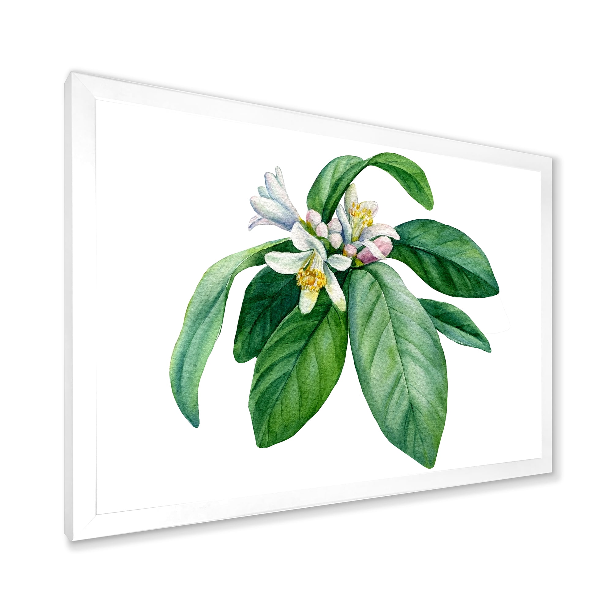 Flowering Mandarin With Branch 32 in x 16 in Framed Painting Canvas Art Print, by Designart