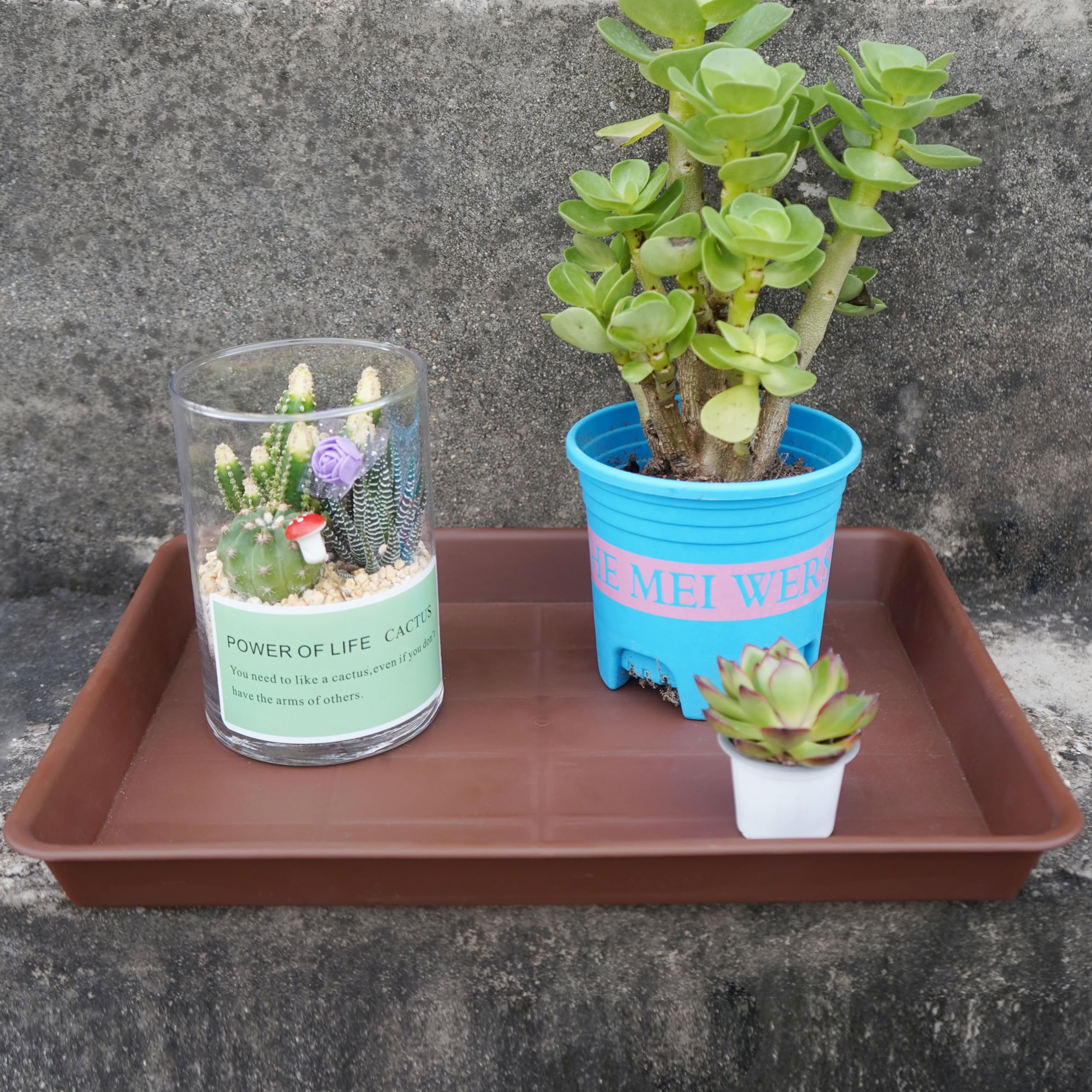 Plant Saucer Growing Tray Set 2-Pack 11x9 Inch Heavy Duty Plastic Seed Starter Trays with Drainage for Indoor Outdoor Pots Gardening Supplies