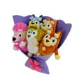 thumbnail image 2 of Bluey Family Plush Valentines Bouquet, 2 of 5