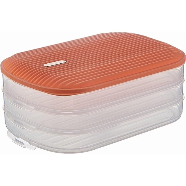 HUGFEGWE 3 4 Layers Dumpling Box Food Storage Container Refrigerator Storage Egg Storage Container CJB91-58359