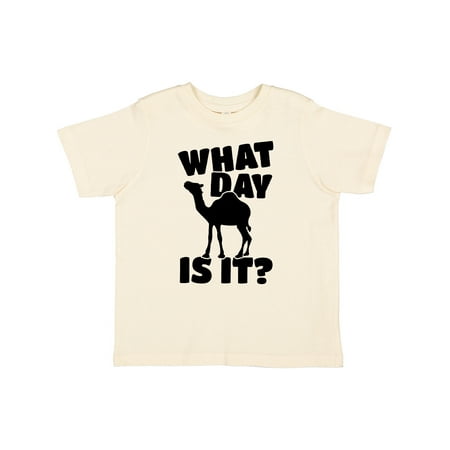 

Inktastic What Day is It Camel Gift Toddler Boy or Toddler Girl T-Shirt