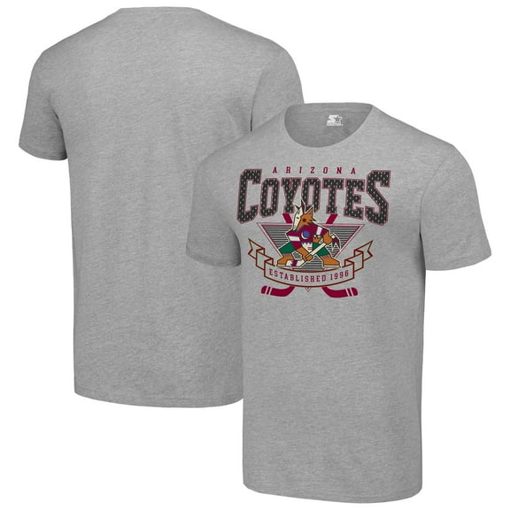 Men's Starter Heather Gray Arizona Coyotes Team Logo Graphic T-Shirt
