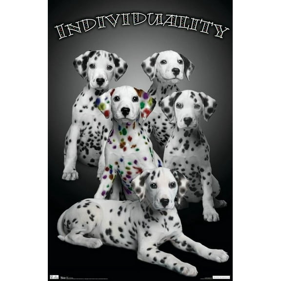 Keith Kimberlin - Dalmatian Puppies with Colored Spots - IndiViduality Wall Poster, 22.375" x 34"