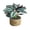 Multicolor15, variant on WWG Artificial Potted Plant, Plastic Foliage Arrangement with Handwoven Straw Pot, 5.91x3.94x3.94in, 5 Leaf Styles, Adjustable Branches, Preassembled, for Home Decor Office Desk, Party Decorations