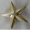 Large Solid Brass Starfish Doorknocker
