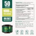 thumbnail image 5 of biophix NAD+ Micronized Resveratrol - Nicotinamide Riboside with Quercetin 1000mg per Serving 100 Veg Capsules, 5 of 9