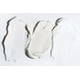 thumbnail image 4 of Jabón facial Lather Ultra Suave, Extra Suave, 180 ml, para piel sensible, 4 of 5